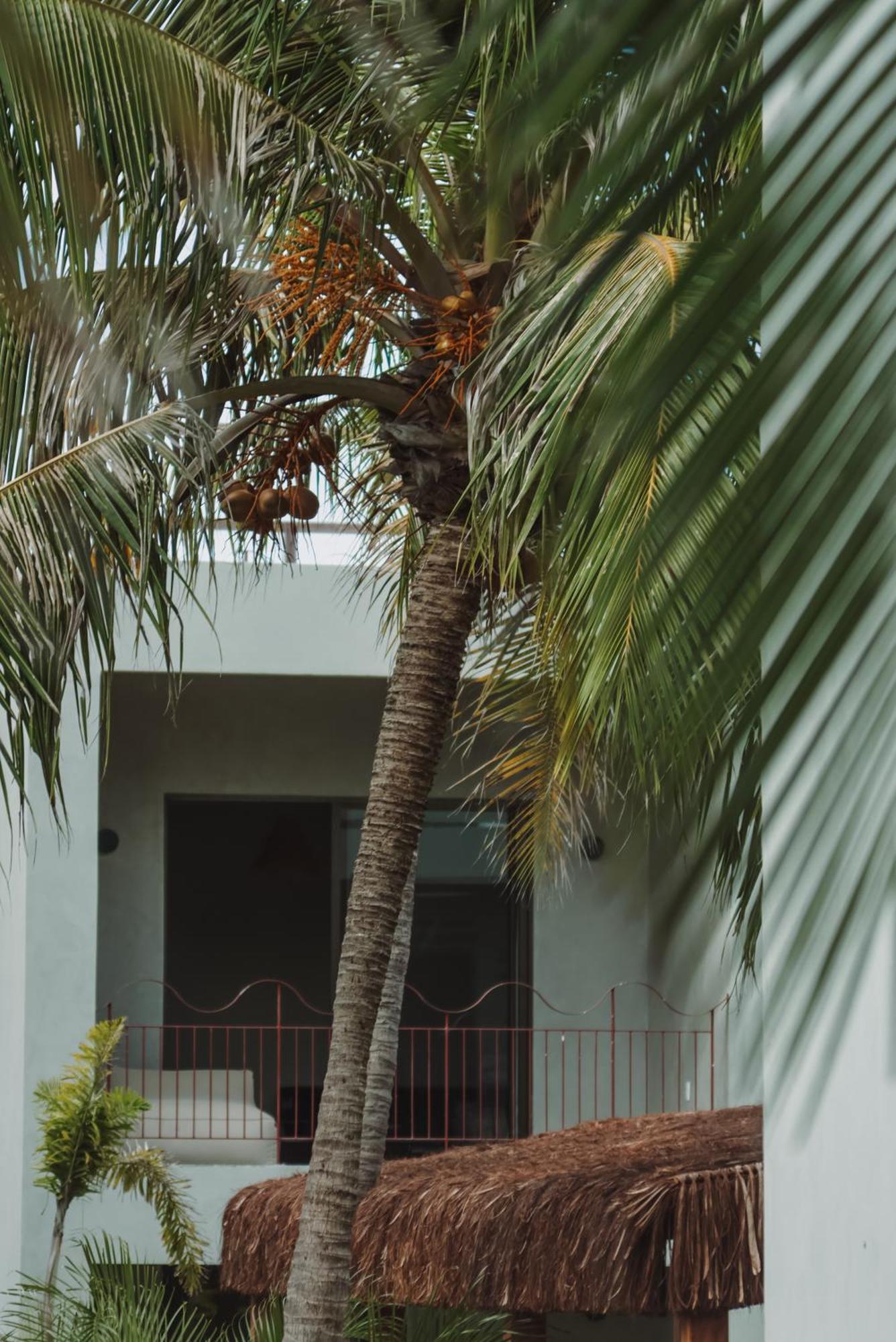 Luau Hotel Guajiru  Exteriér fotografie